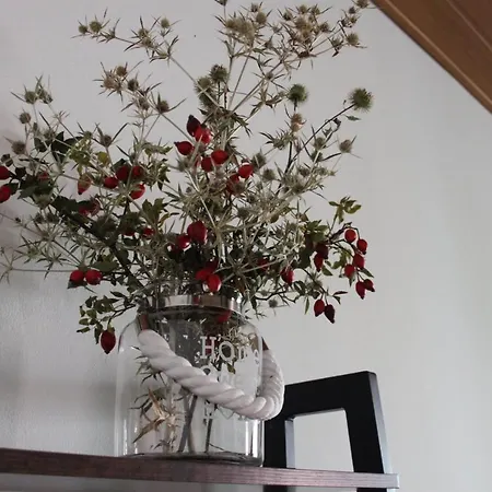 Apartman Domcekova * Košice