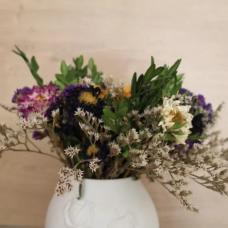 アパート Apartman Domcekova